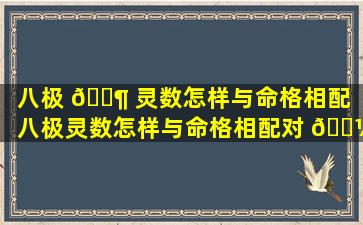 八极 🐶 灵数怎样与命格相配「八极灵数怎样与命格相配对 🌼 」